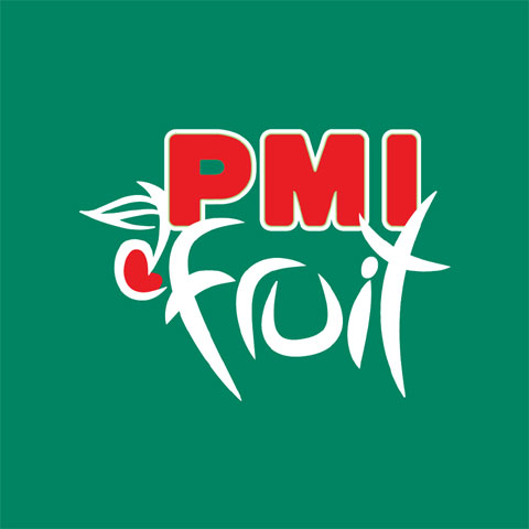 Pascual PMI Fruit Yogurt